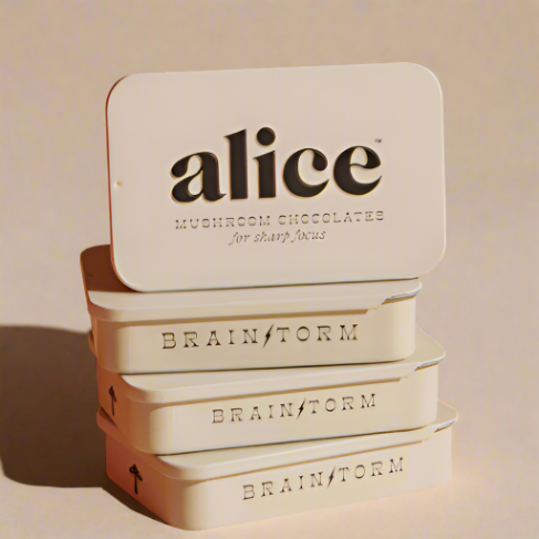 Alice Mushroom Chocolate- Brainstorm